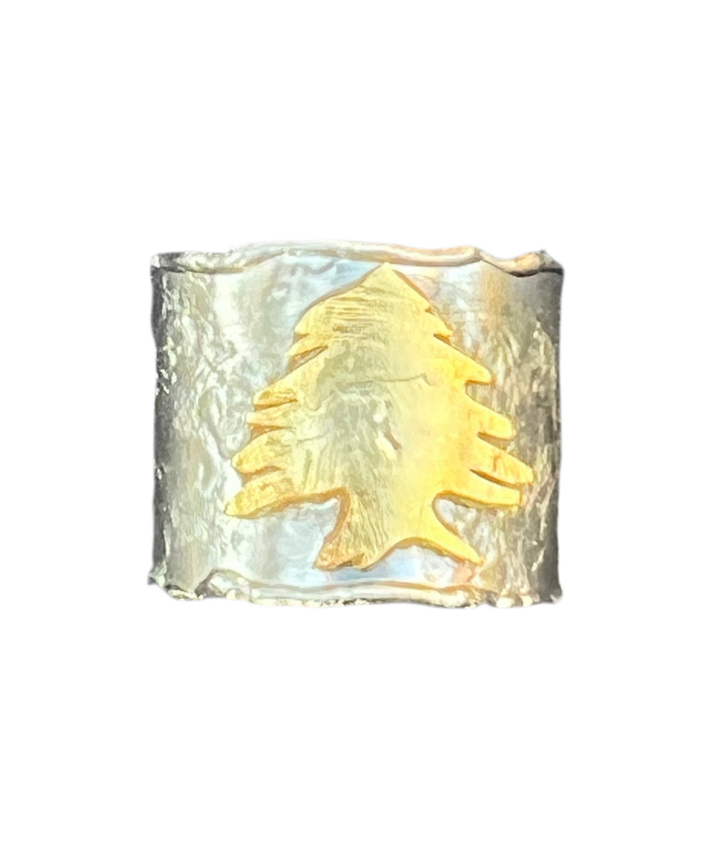 Gold & Silver Ring