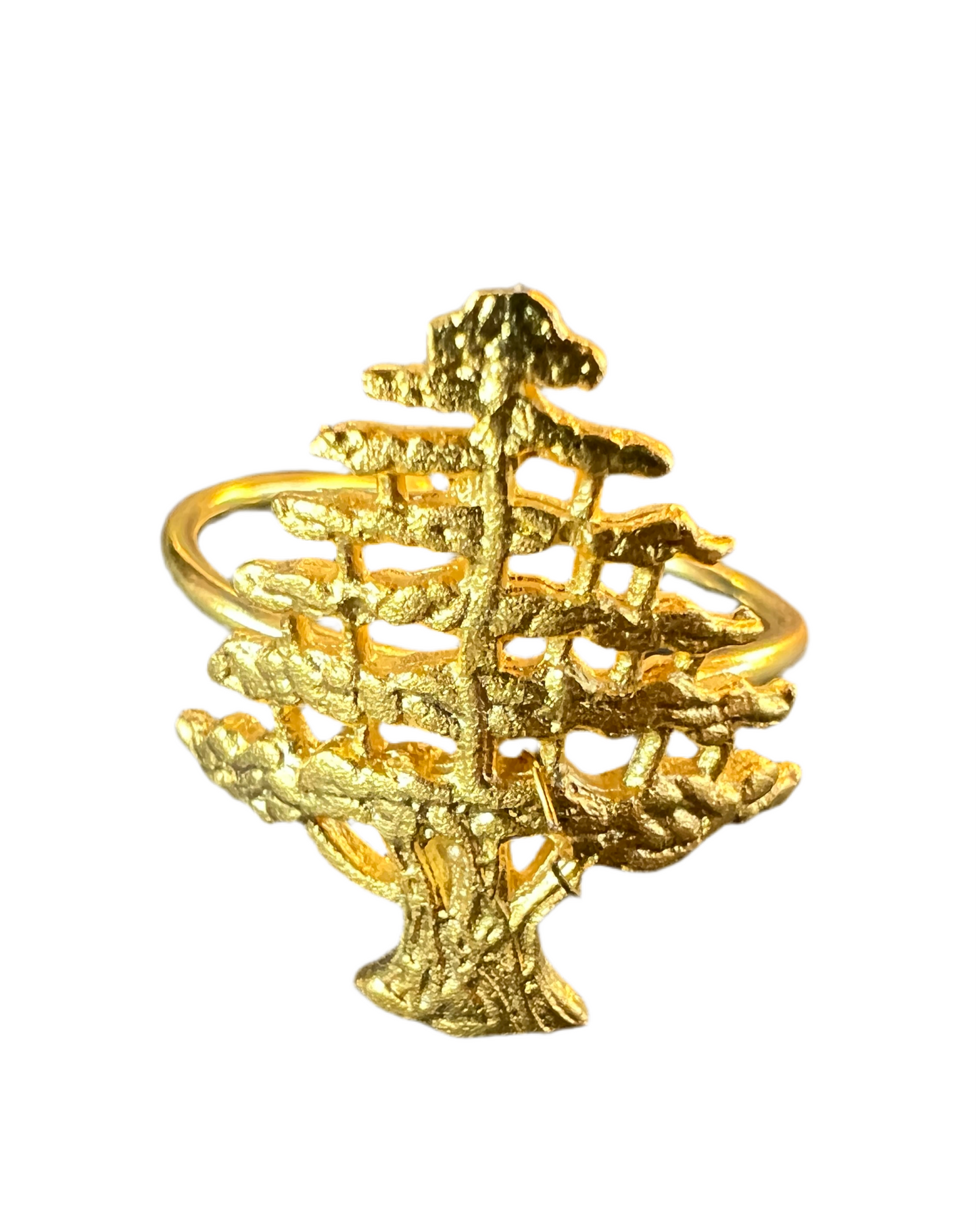 Cedar Ring