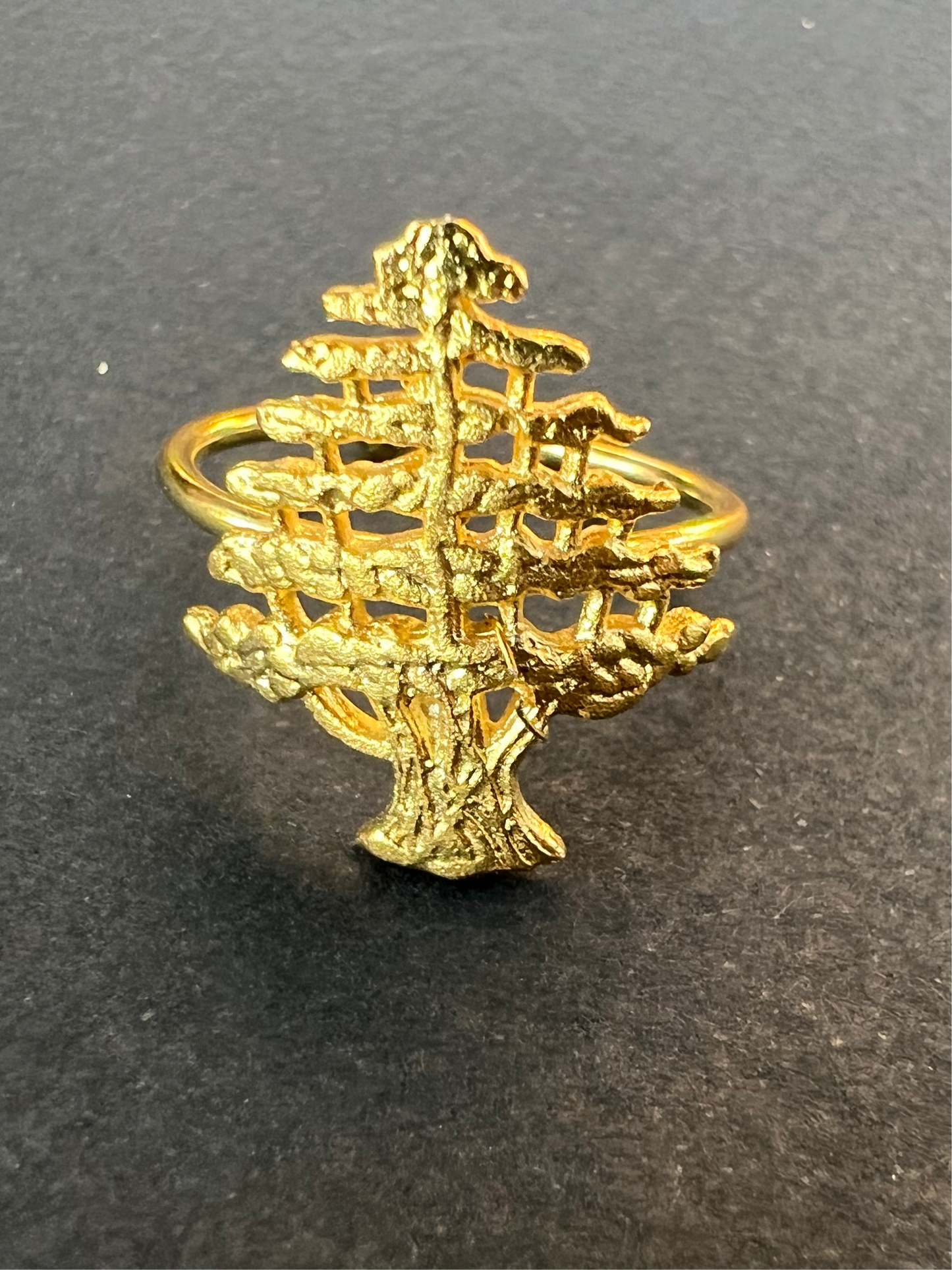 Cedar Ring