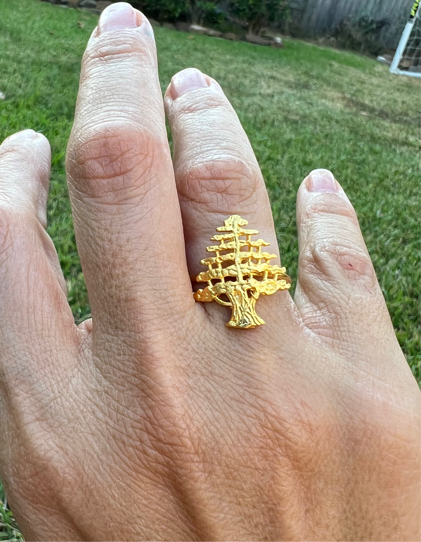 Cedar Ring