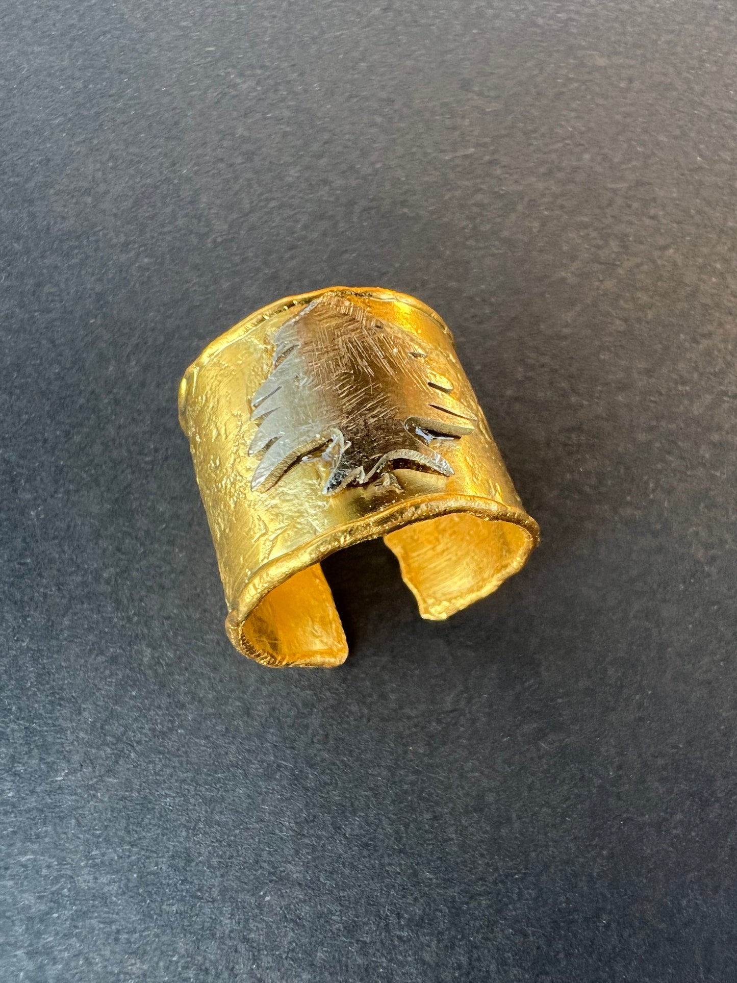 Gold & Silver Ring